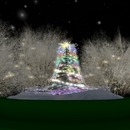 Thumb 564df1ff128cc91ffa000001