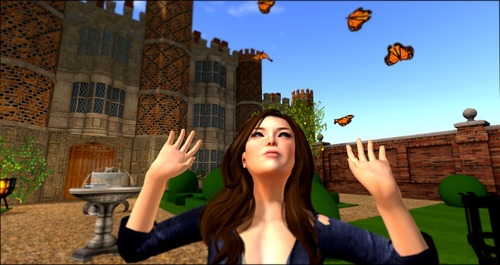 Web 56b044123f942f5a59000001