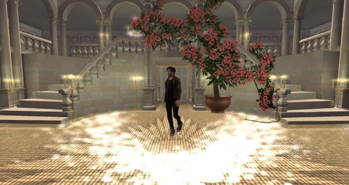 Web 587408d0b713f7775a000001