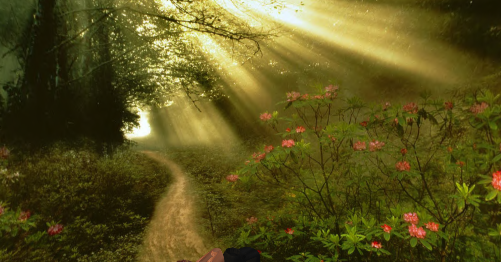 Original 5367eb8c8da5723d79000001