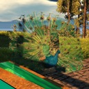 Thumb 535c83b2128cc965bc000001