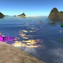 Thumb 535de2848da57207df000001