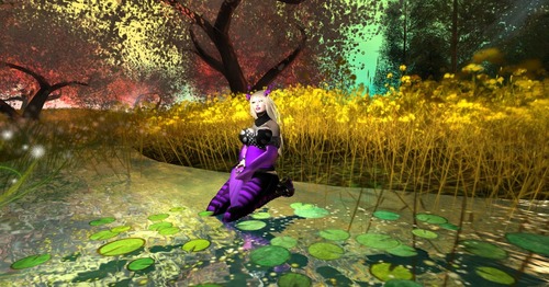 Web 535dc19f8da5720fdd000001