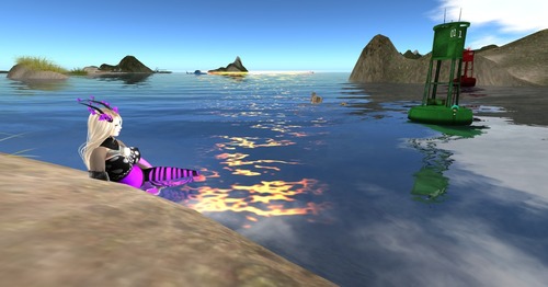 Web 535de2848da57207df000001