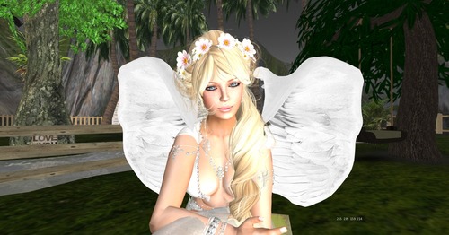 Web 53612811128cc9296e000001