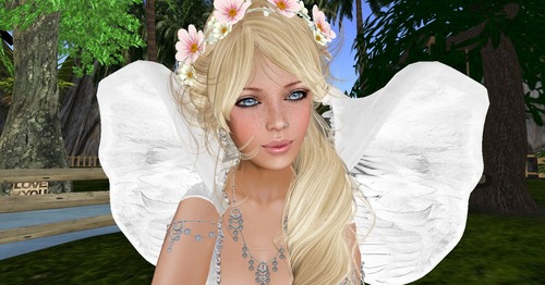 Web 53612a6d8da5723b10000001