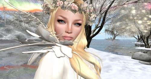 Web 54b186d78da5721f64000001