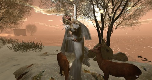 Web 54b1cd8af8a1ec1f14000001