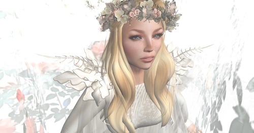 Web 54b1d30d128cc91d13000001