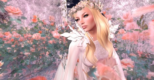 Web 54b1d47a8da57210d4000001