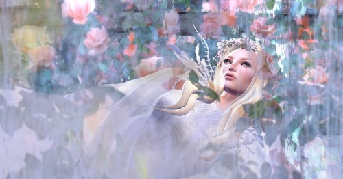 Web 54b1d5b1f8a1ec6cb1000001