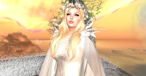 Web 54b1d9a9128cc96604000001