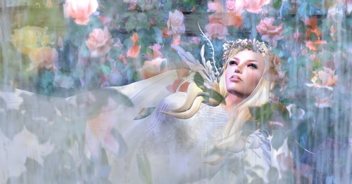 Web 54b1d9dea73e215368000001