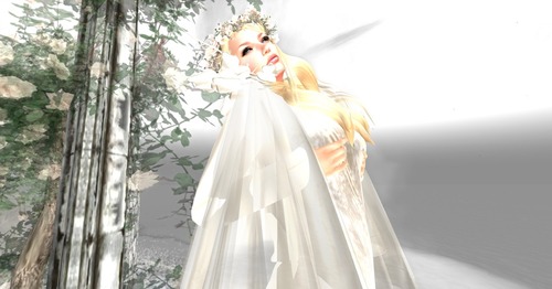 Web 54b1dbf2f8a1ec2d5a000001