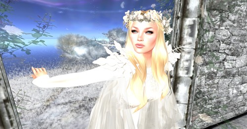 Web 54b1ddd8f8a1ec431d000001