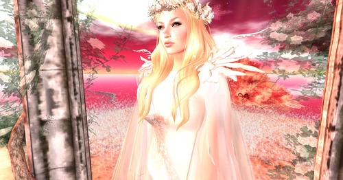 Web 54b1deab128cc93105000001