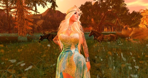 Web 54c303e5a73e21768b000001