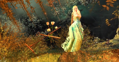 Web 54c304348da5726f68000001