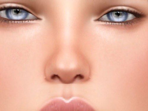 Web 5524924bf8a1ec392f000001