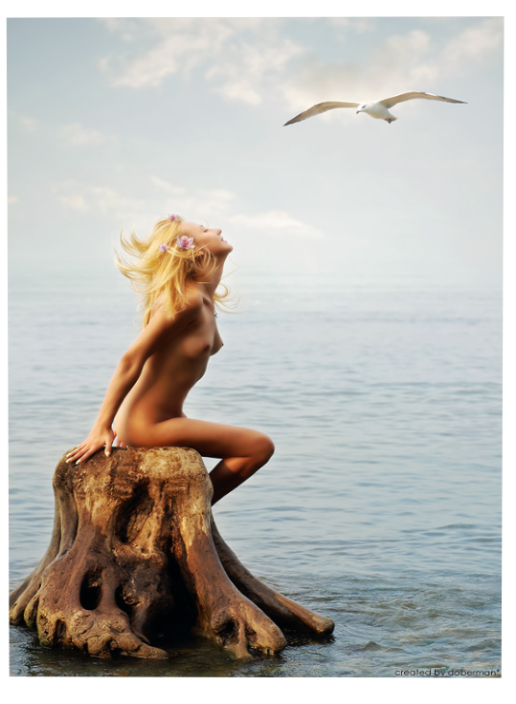 Original 545a2334128cc96b3a000001