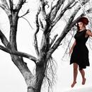 Thumb 5da9b4d1d774f84b1a000001