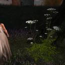 Thumb 60fa1e71581e5a29b7910581