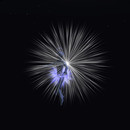 Thumb 64261fb864d6272f58d36b65