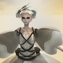 Thumb 642621f37d11db6f1e1cbc67