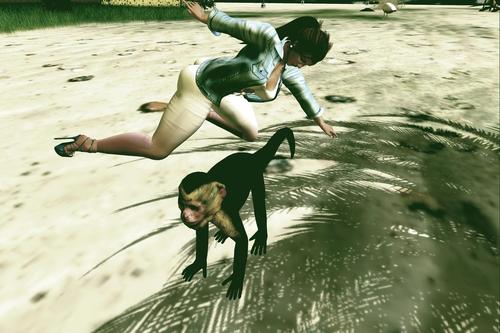 Web 5db32dc373ed17500c000001