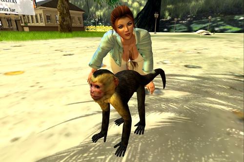 Web 5db32fac73ed175a9e000001