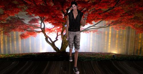 Web 5dbf05e573ed172695000001