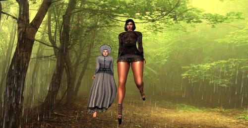 Web 5dc0aee0289dd24f7d000001