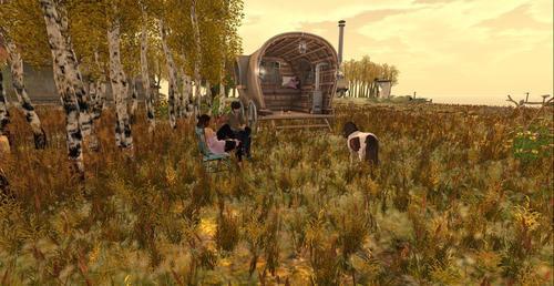 Web 5f59704d289dd209af8c6a79