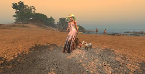 Web 60c6a2659912e71e802792c7