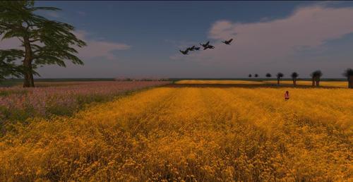 Web 60d6596e6213e545c7a7d512