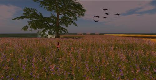 Web 60d65af33ffd693541792627