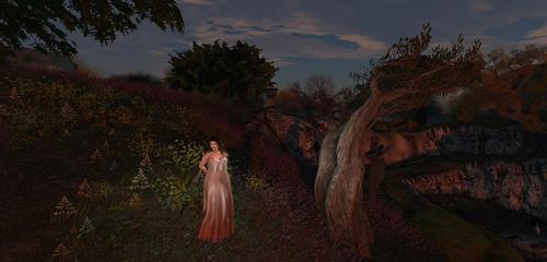 Web 60fa1c248918b81bd437f9e5