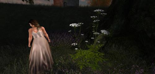 Web 60fa1e71581e5a29b7910581