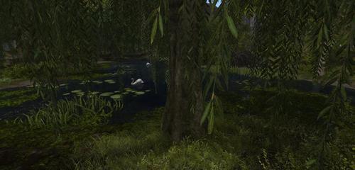 Web 611817f9faef3f6dd21af833