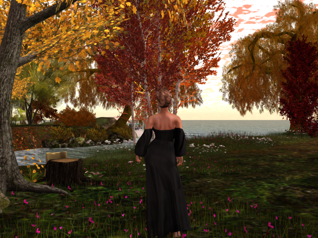 Original 651328d85523993886c8ada9