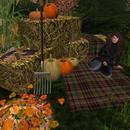 Thumb 5bc5273e73ed177bfe000001