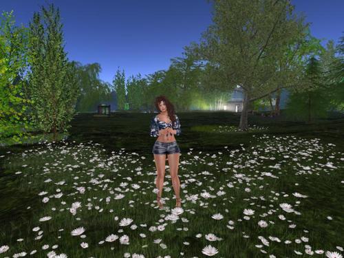 Web 5ecee26b73ed172b2c8d5078