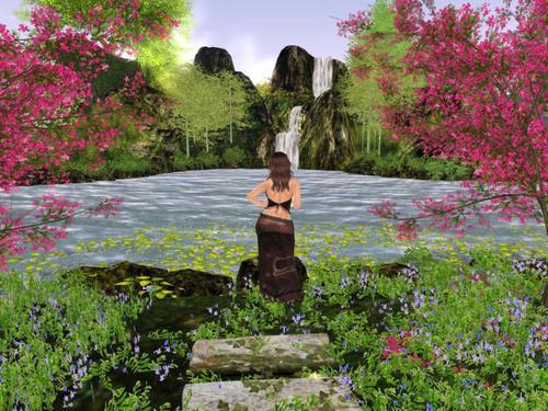 Web 5edc610a73ed171a458d5078