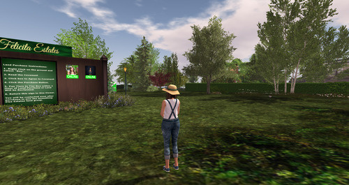 Web 641dfd5789c9817e98b462dc