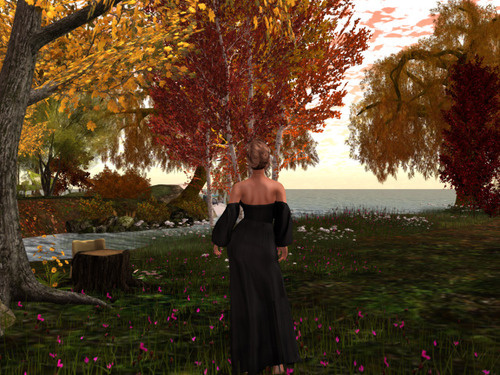 Web 651328d85523993886c8ada9