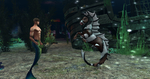 Web 663fe4407443a966e5c89a82