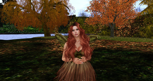 Web 6706d8de2c8ed216d6729709