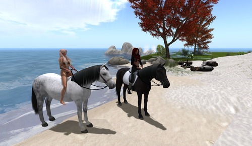 Web 549d21b1f8a1ec602f000001