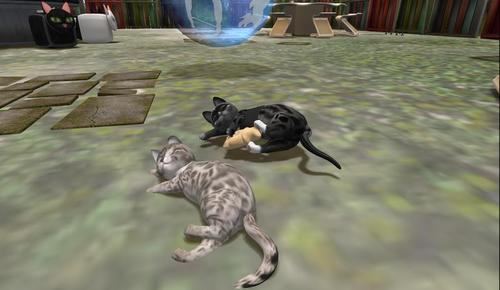 Web 5a06ca00d9859c64c0000001