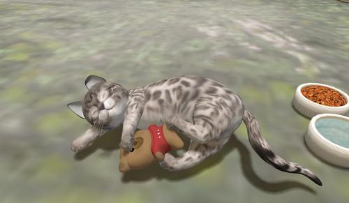 Web 5a1076cbd774f866a3000001